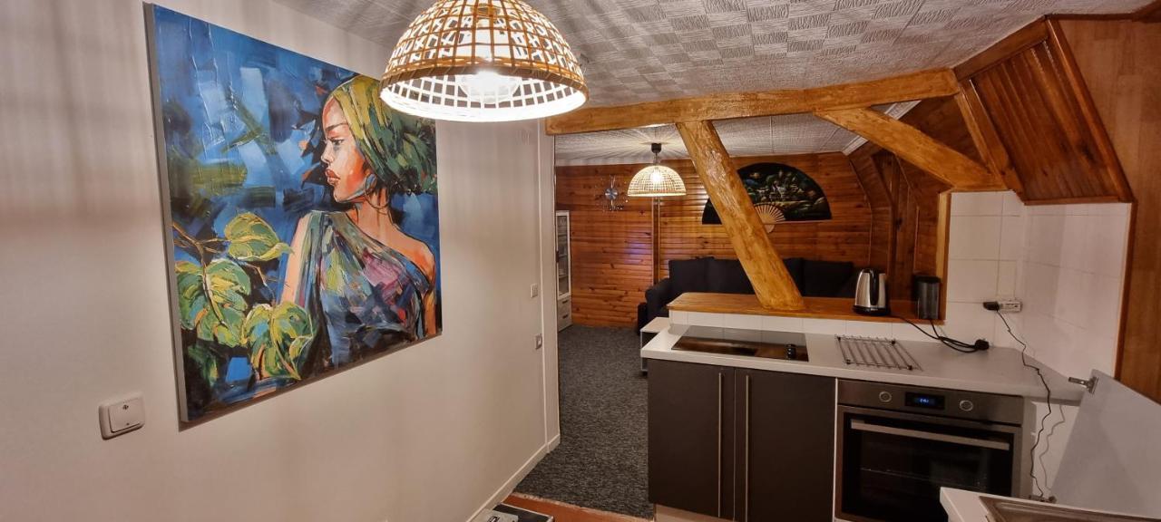 Chambre Privee Numero 1 Dans Un Superbe Appartement En Colocation Montataire Kültér fotó